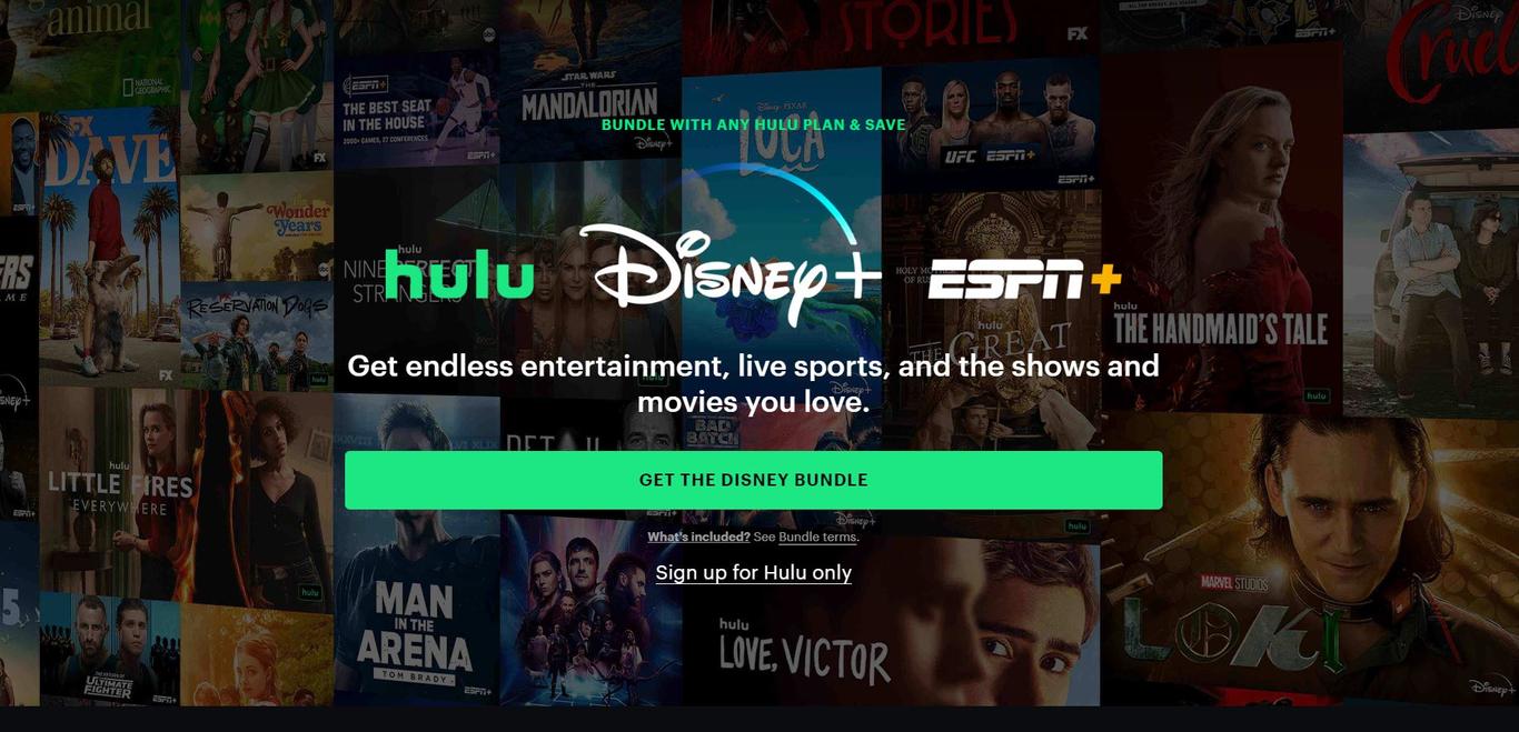 How To Share Hulu Account | Together Price US