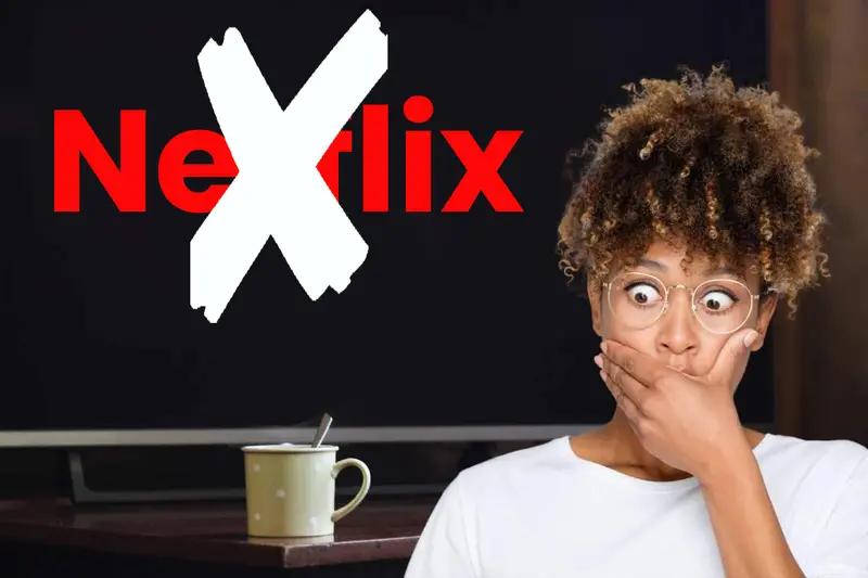 Netflix Extra Member Fee